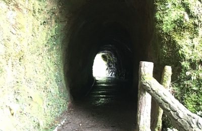 20170901 (276)